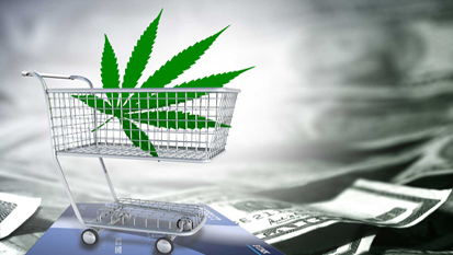 agco cannabis retail sales license application