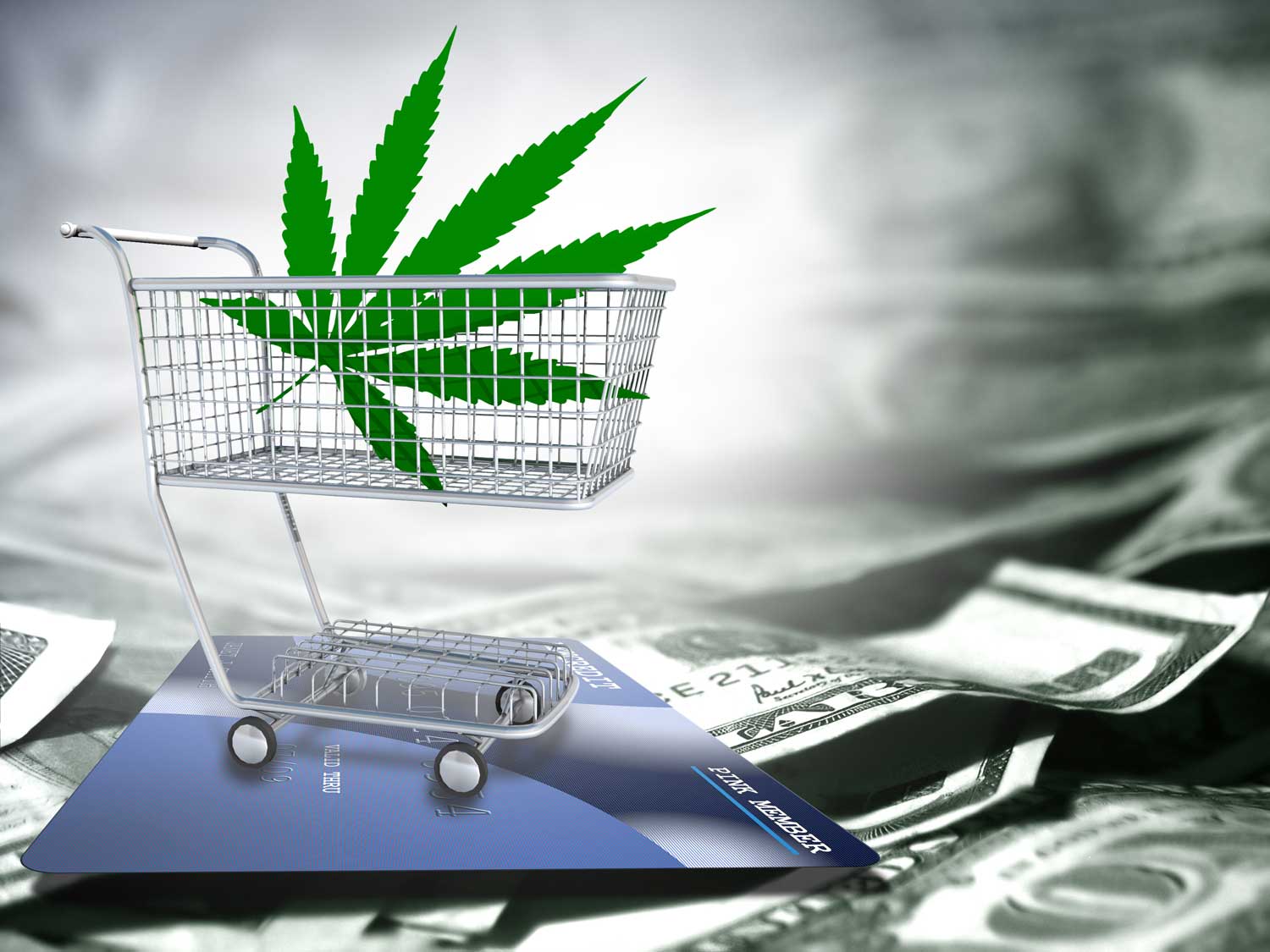 agco cannabis retail sales license application
